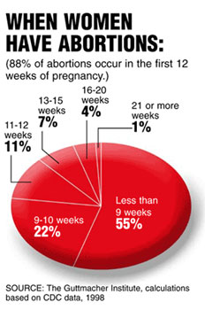 Abortion statistics for Australia