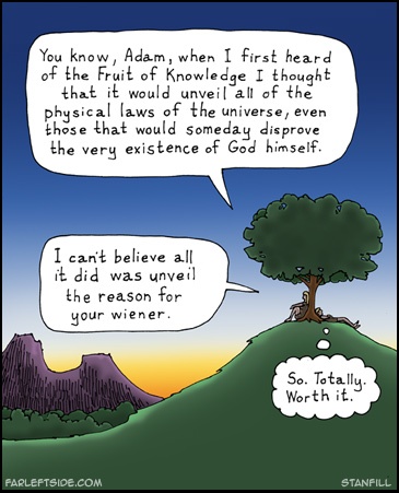 Adam's wiener cartoon