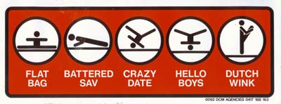 Gymnastics moves bumper sticker with flat bag, hello boys, Roy and HG