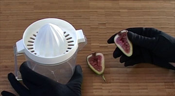 Paddling The Pink Canoe - figs